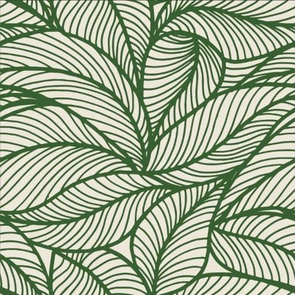 Jin Xuan Milk Oolong Tea